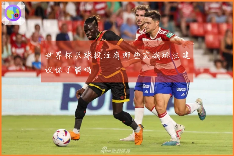 世界杯买球投注有哪些实战玩法建议你了解吗