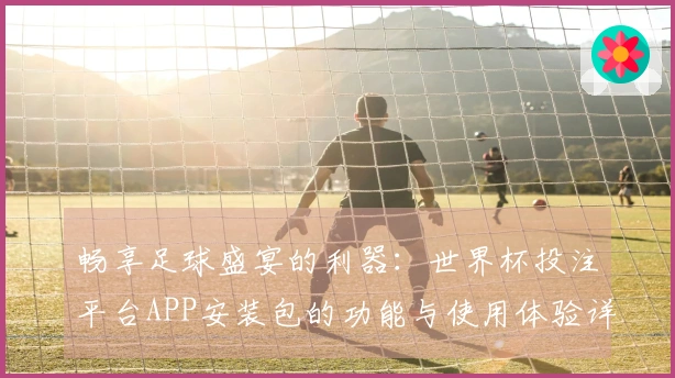 畅享足球盛宴的利器：世界杯投注平台APP安装包的功能与使用体验详解