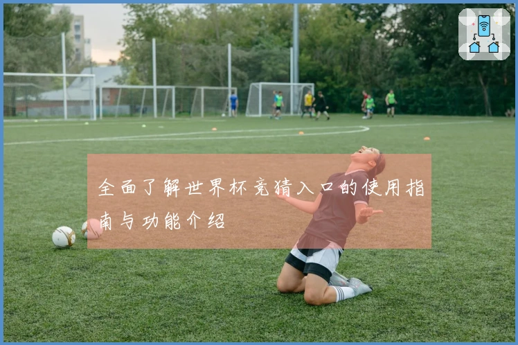 全面了解世界杯竞猜入口的使用指南与功能介绍