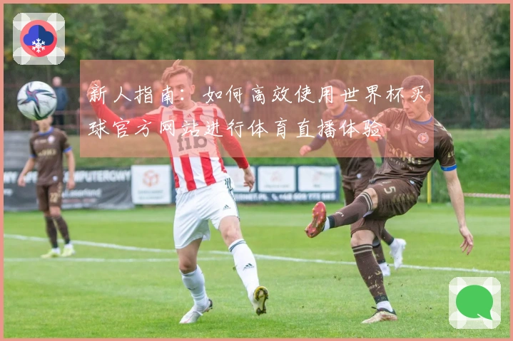 新人指南：如何高效使用世界杯买球官方网站进行体育直播体验