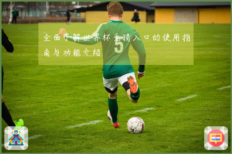 全面了解世界杯竞猜入口的使用指南与功能介绍