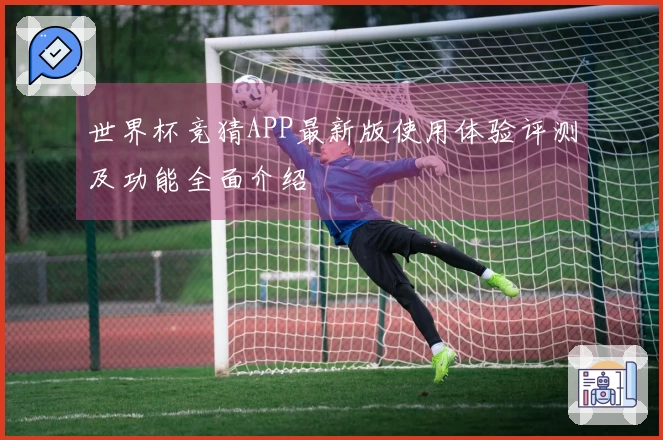 世界杯竞猜APP最新版使用体验评测及功能全面介绍