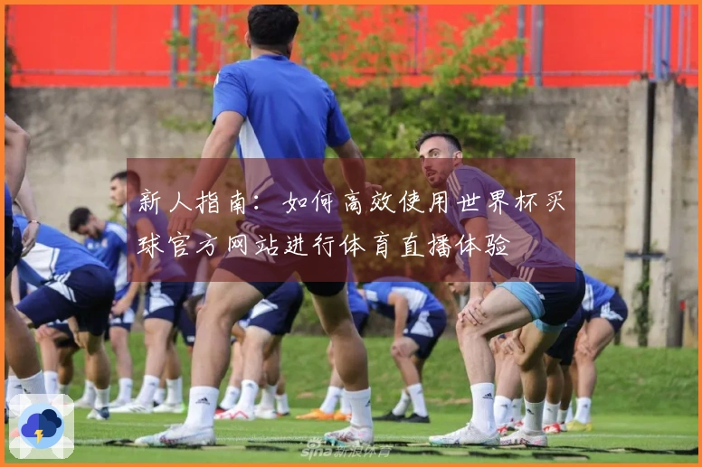 新人指南：如何高效使用世界杯买球官方网站进行体育直播体验