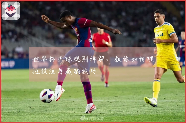 世界杯买球规则详解，教你如何理性投注与赢钱技巧