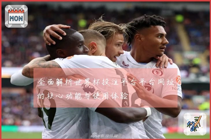 全面解析世界杯投注平台平台网址的核心功能与使用体验