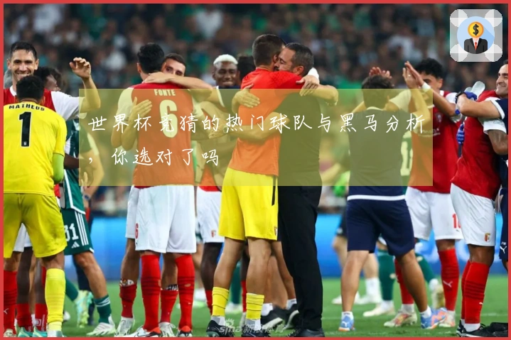世界杯竞猜的热门球队与黑马分析，你选对了吗